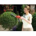 Акумуляторні ножиці для живоплоту BLACK+DECKER GSL700KIT