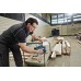 Акумуляторний лобзик BOSCH GST 10.8 V-Li (06015A1000)