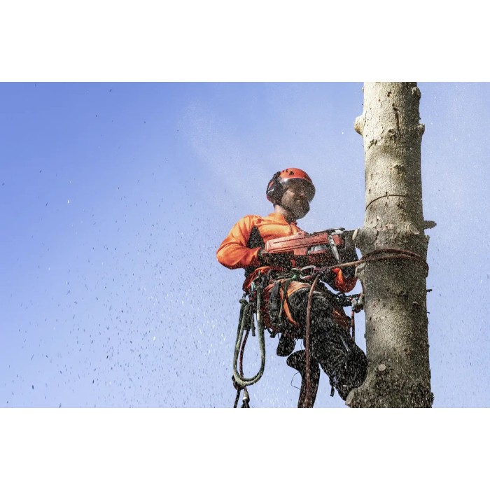 Бензопила Husqvarna 545 Mark II (9676906-35) Бензопила Husqvarna 545 Mark II (9676906-35)