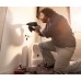 Дриль BOSCH UniversalImpact 700 (0603131020)