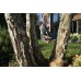 Газонокосарка бензинова STIHL RM 545 (63400113402)