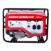 Генератор бензиновий DAISHIN SGB7001HSa