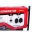 Генератор бензиновий DAISHIN SGB7001HSa