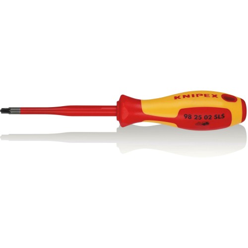 Викрутка для гвинтів з хрестовим шліцом Pozidriv 98 25 02 SLS