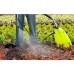 Обприскувач ручний MAROLEX Movi S061.141