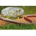 Шланг GARDENA Flex (1/2") 20 м з конекторами (18034-20.000.00)